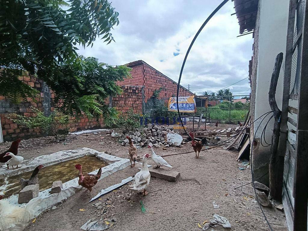 Terreno à venda, 250M2 - Foto 9