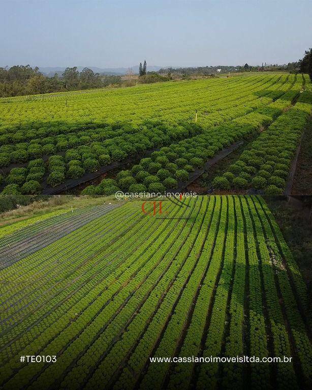 Terreno à venda, 20000M2 - Foto 1