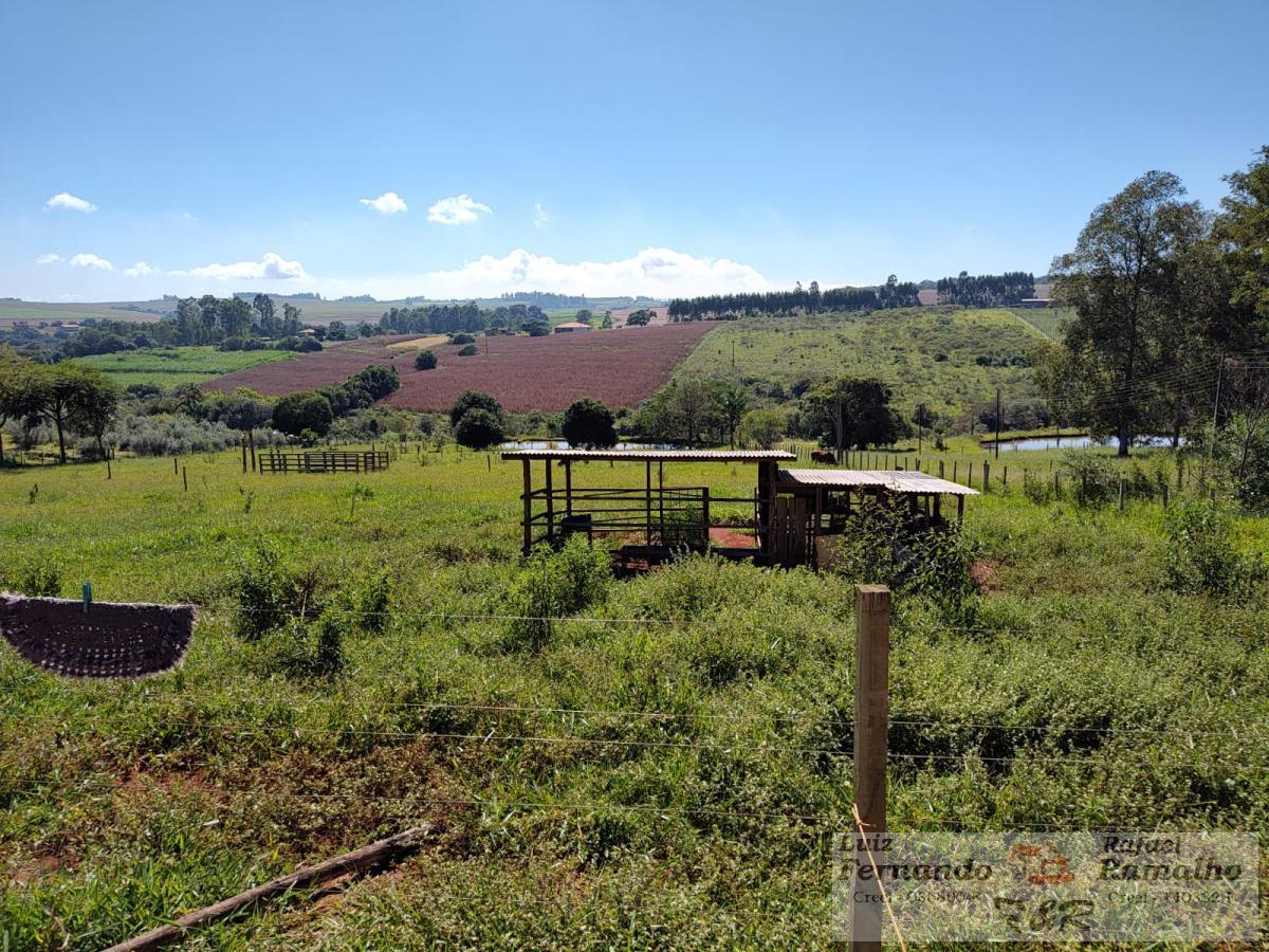 Fazenda à venda com 2 quartos, 20000m² - Foto 22