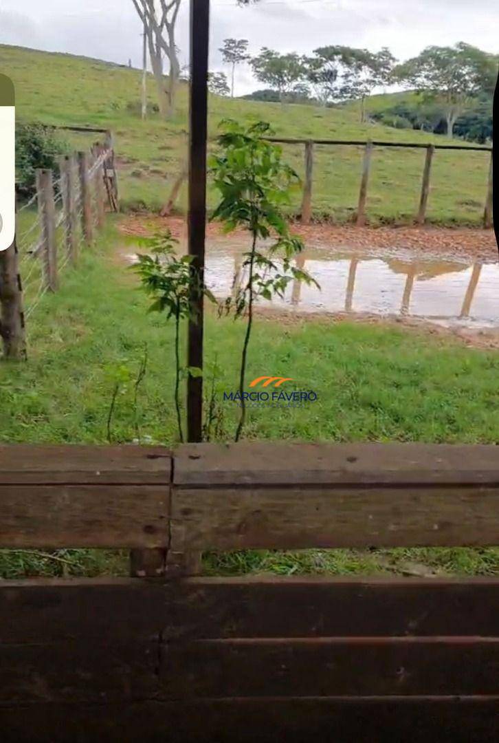 Fazenda, 307 hectares - Foto 4