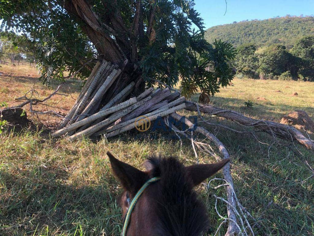 Fazenda à venda, 229899M2 - Foto 16