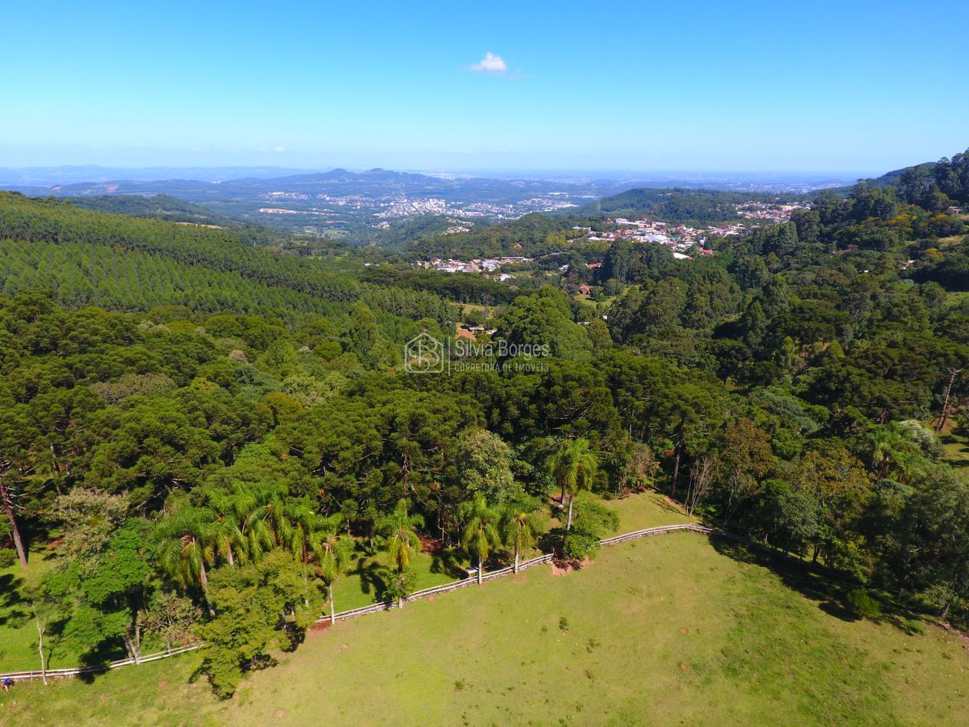 Fazenda à venda, 6900m² - Foto 13