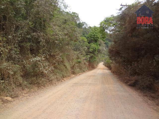 Terreno à venda, 3000M2 - Foto 4