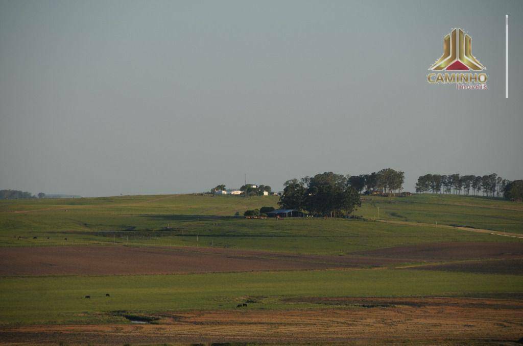 Fazenda à venda com 5 quartos, 33455000M2 - Foto 30