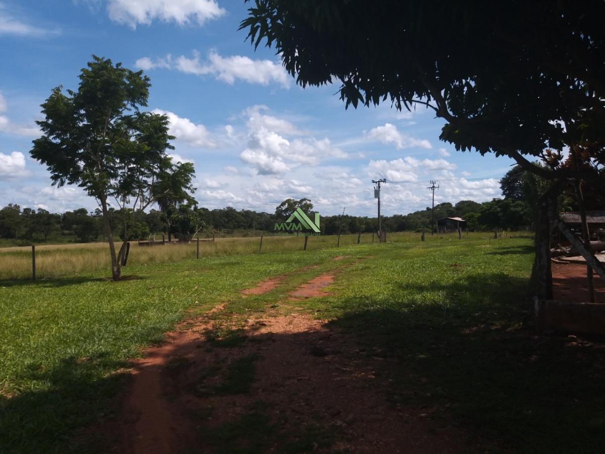 Fazenda à venda com 4 quartos, 430000m² - Foto 22