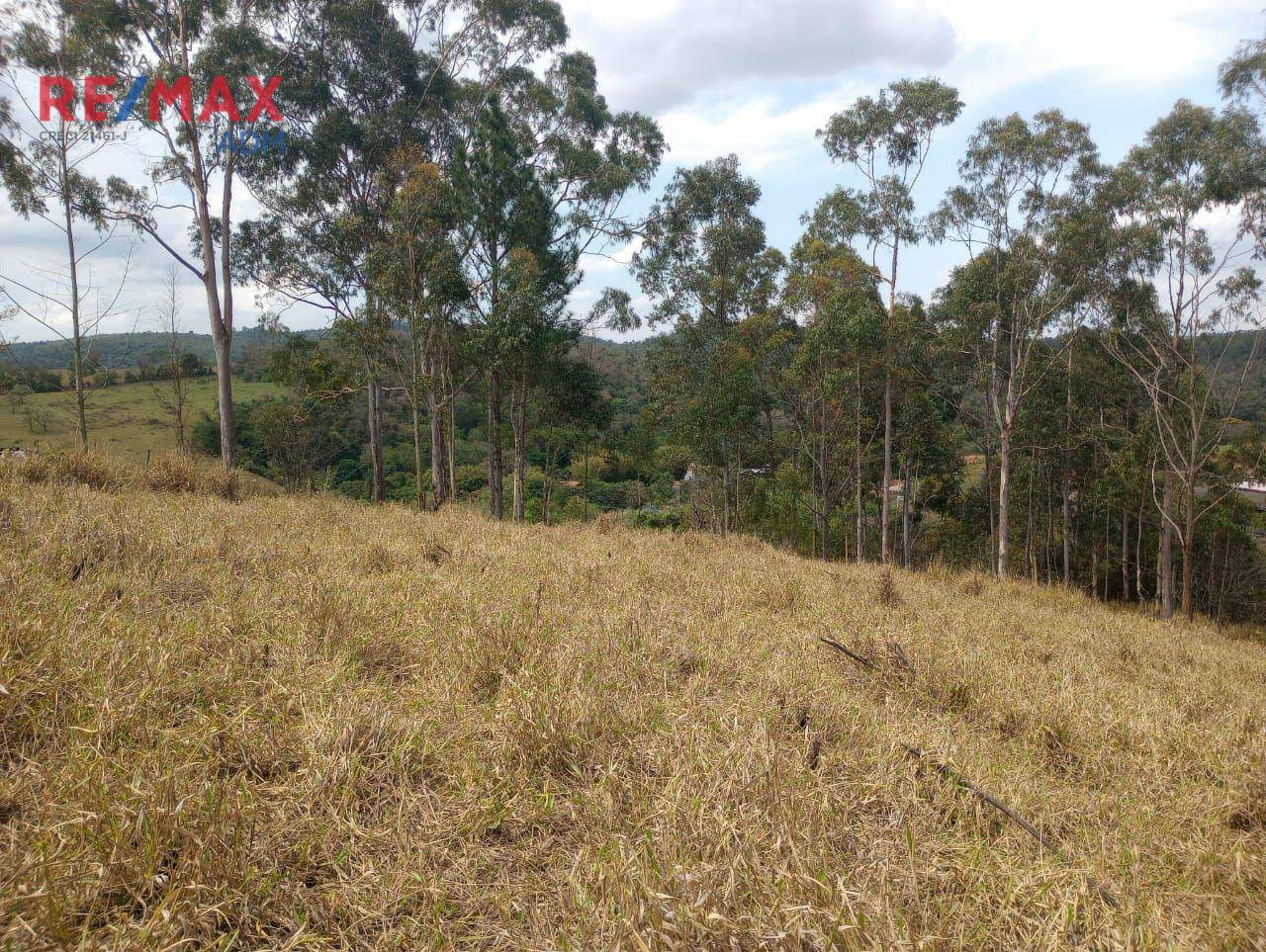 Terreno à venda, 60500M2 - Foto 8