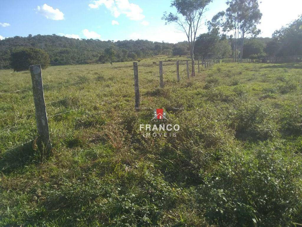 Fazenda à venda com 6 quartos, 350m² - Foto 9