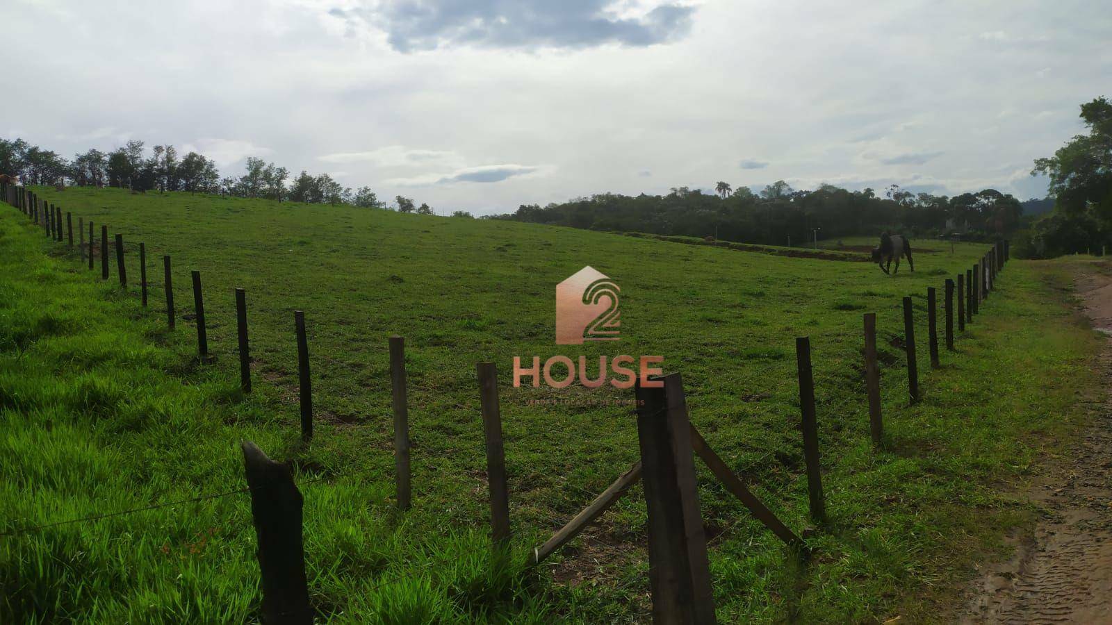 Fazenda à venda com 2 quartos, 133000M2 - Foto 23