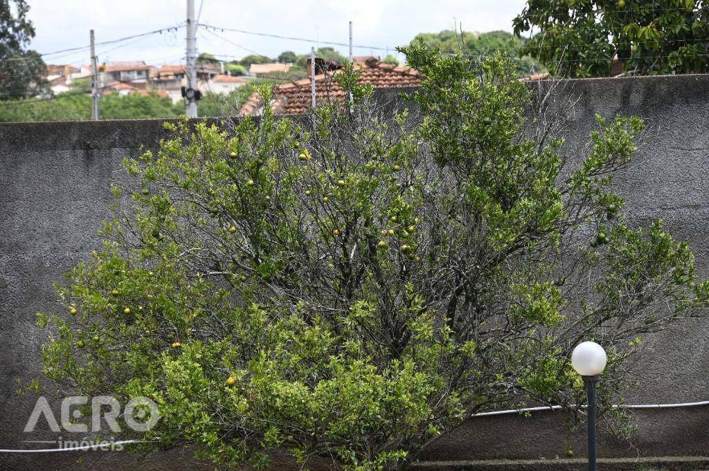 Casa à venda com 5 quartos, 591m² - Foto 48