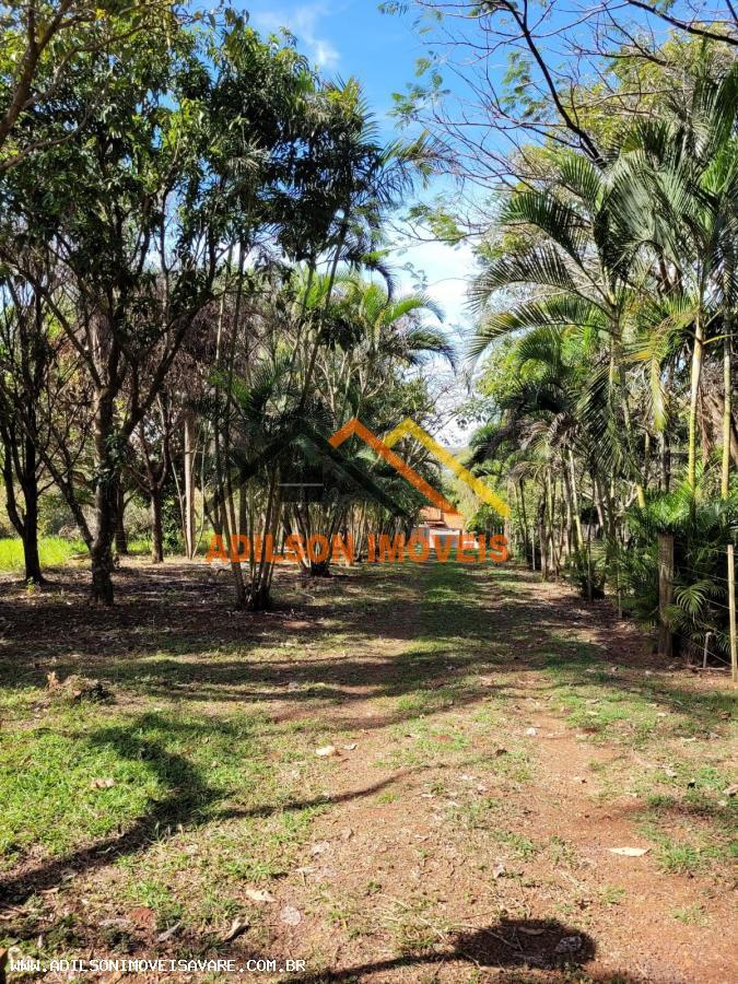 Fazenda à venda com 3 quartos, 2800m² - Foto 1