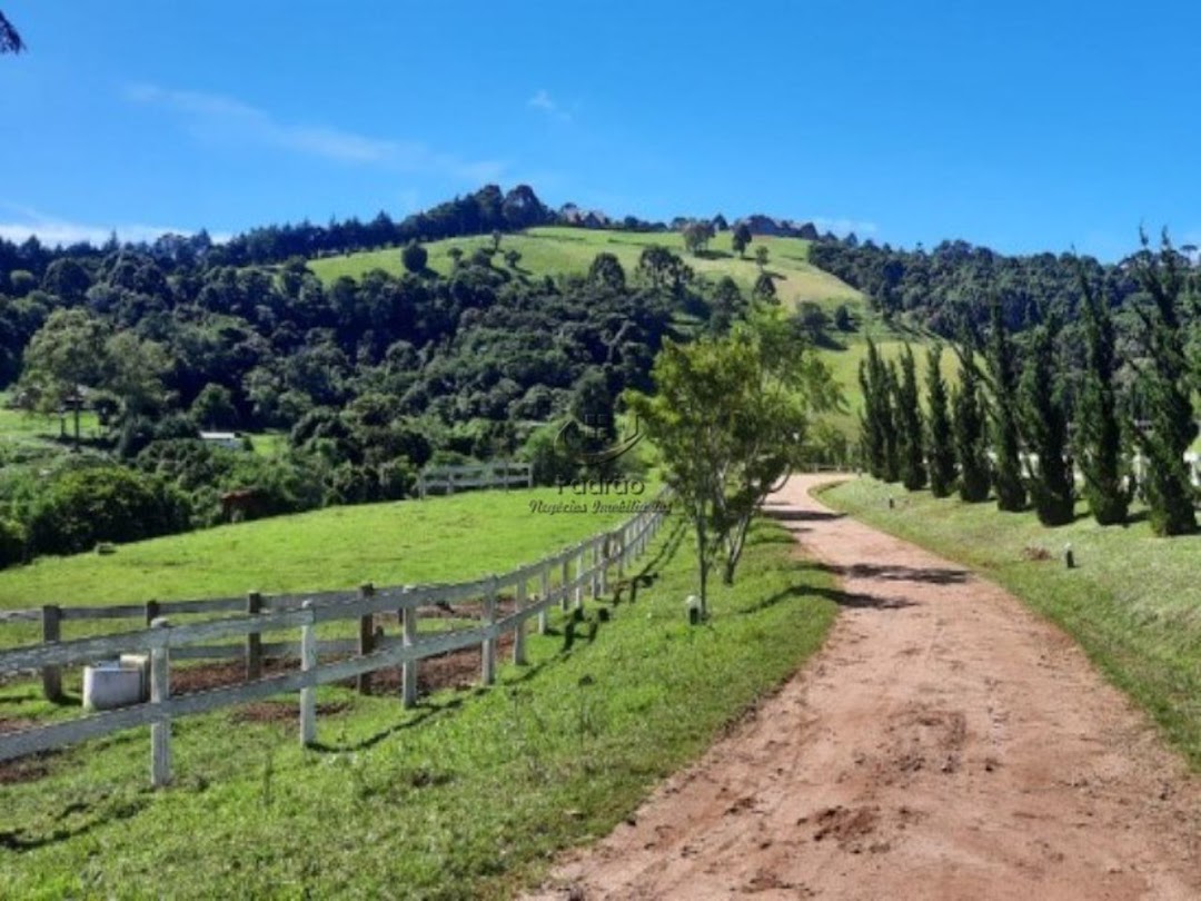 Fazenda à venda com 6 quartos, 1000m² - Foto 2