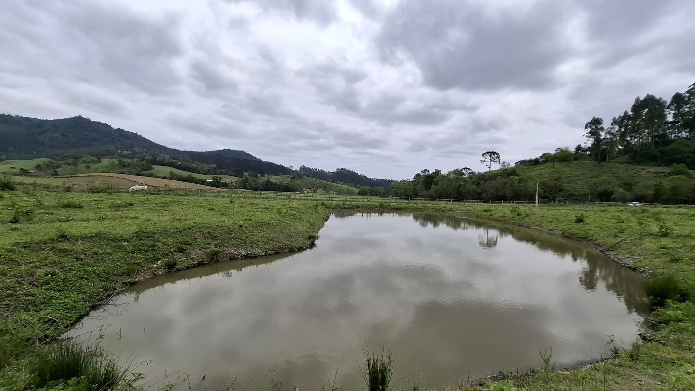 Fazenda à venda com 1 quarto, 10000m² - Foto 20