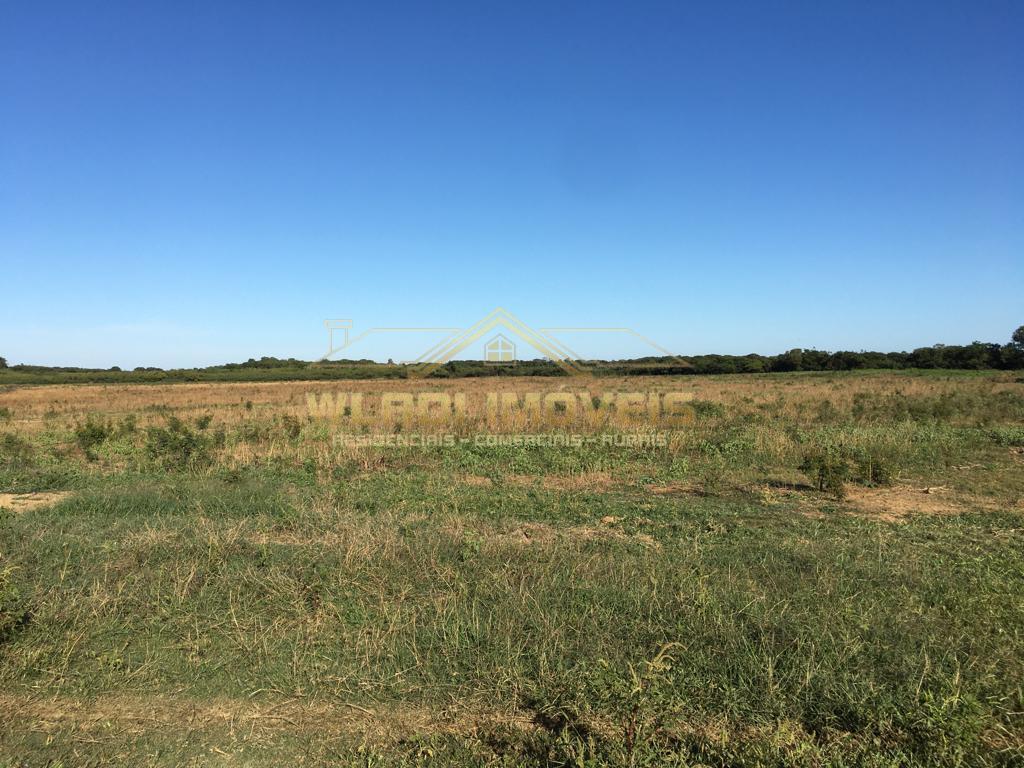 Fazenda à venda, 3100m² - Foto 12