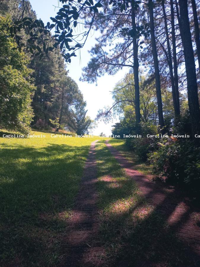 Fazenda à venda com 7 quartos, 800000m² - Foto 9