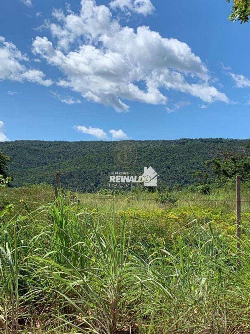 Fazenda-Sítio-Chácara, 1540 hectares - Foto 2