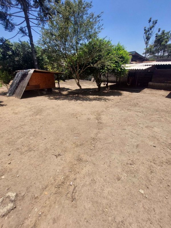 Fazenda à venda com 2 quartos, 100m² - Foto 19