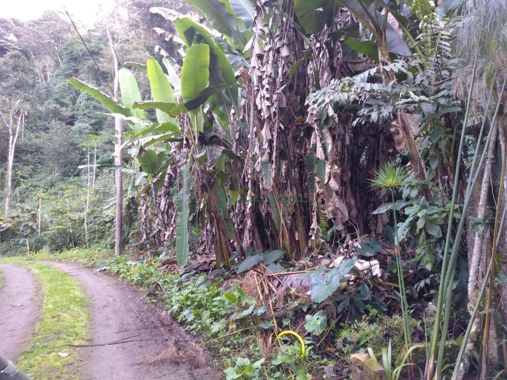 Terreno à venda, 3880M2 - Foto 2