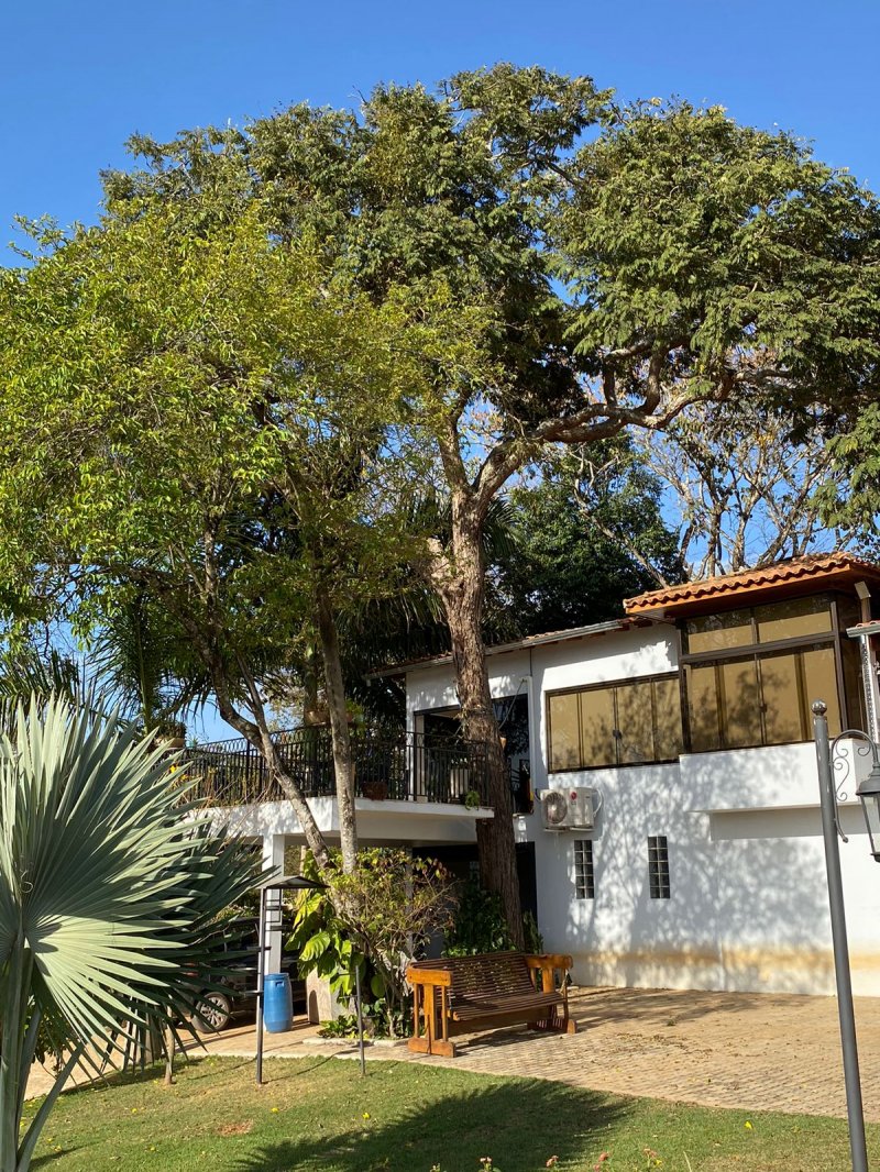 Sítio à venda com 3 quartos, 2800m² - Foto 3