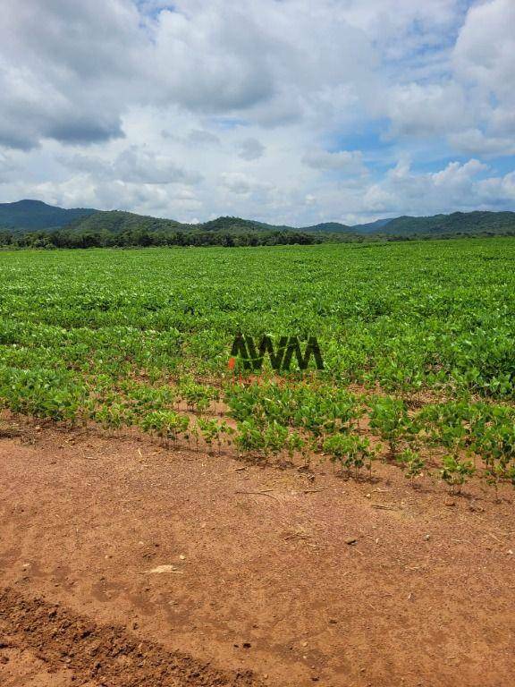 Fazenda à venda, 5130400M2 - Foto 4