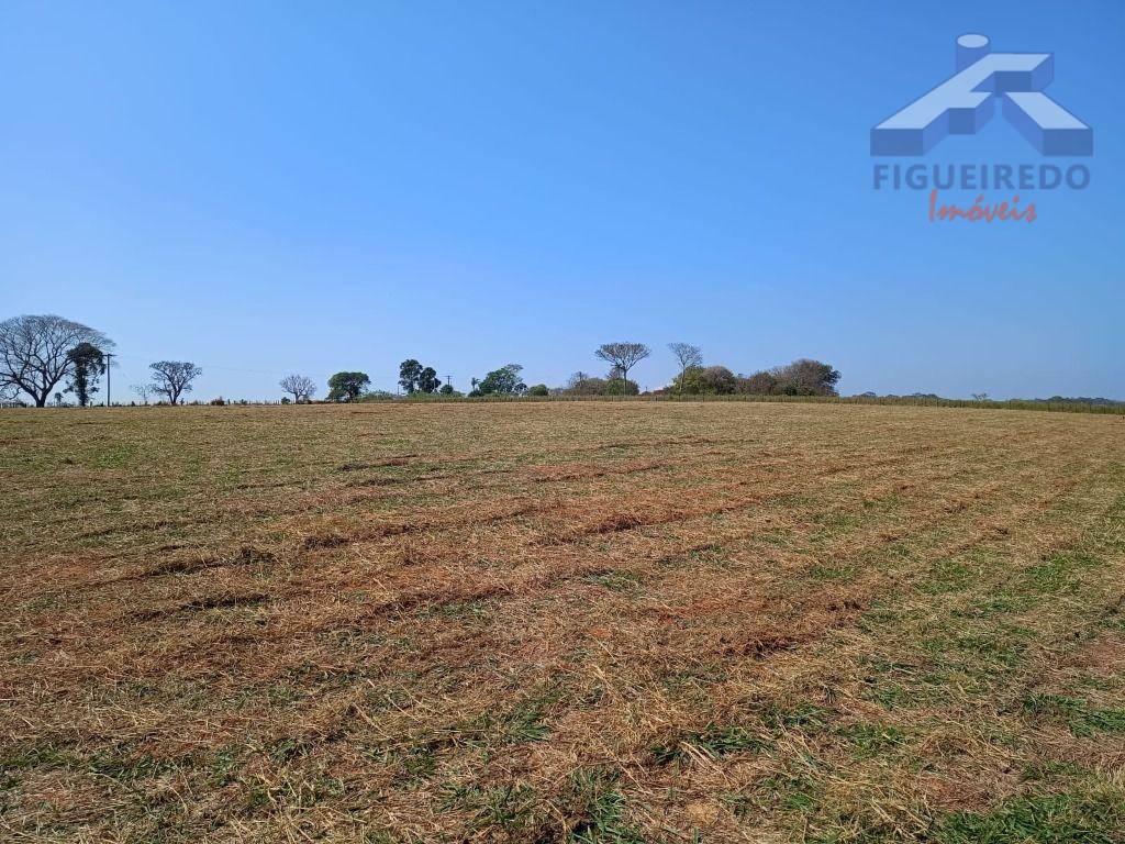 Sítio, 7 hectares - Foto 12