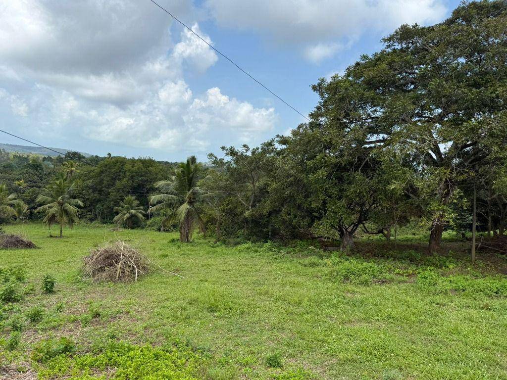 Terreno, 5 hectares - Foto 8