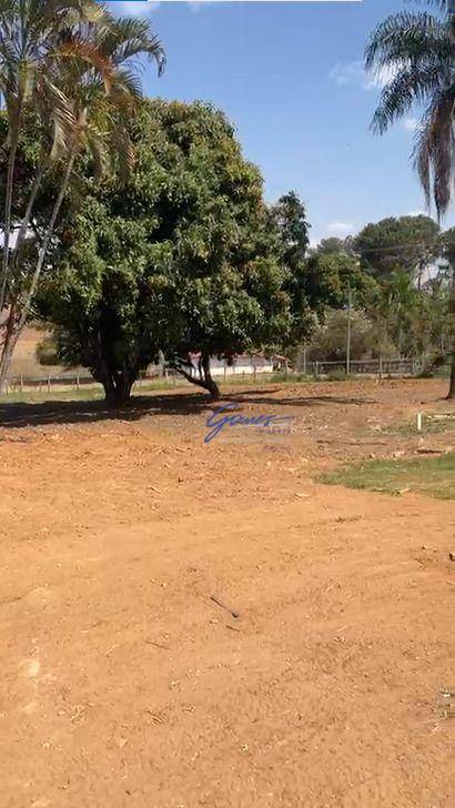 Chácara, 3 quartos, 5000 m² - Foto 19