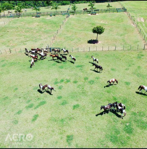 Fazenda à venda com 3 quartos, 400m² - Foto 8