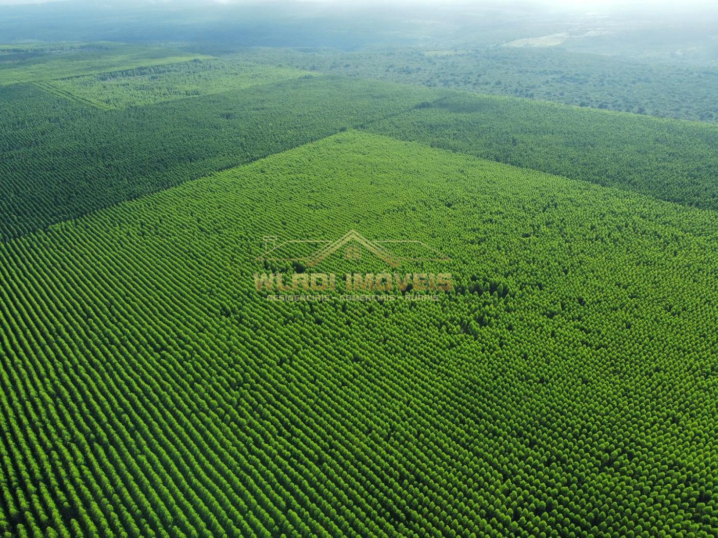 Fazenda à venda, 15764m² - Foto 3