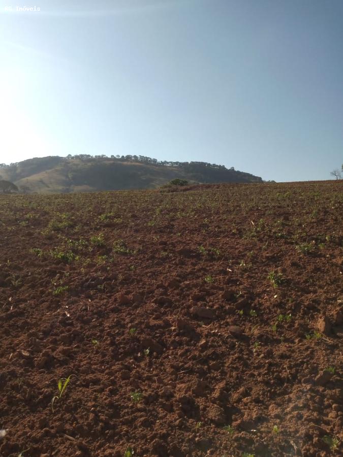 Sítio à venda, 338800m² - Foto 10