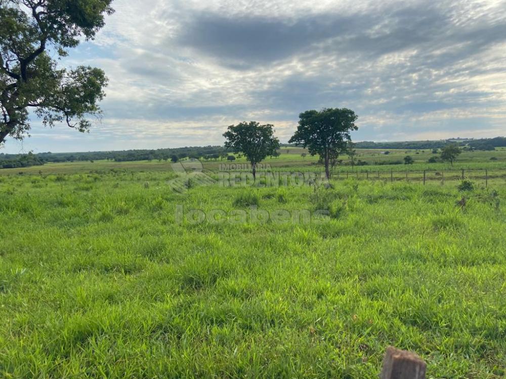 Fazenda-Sítio-Chácara, 151 hectares - Foto 4