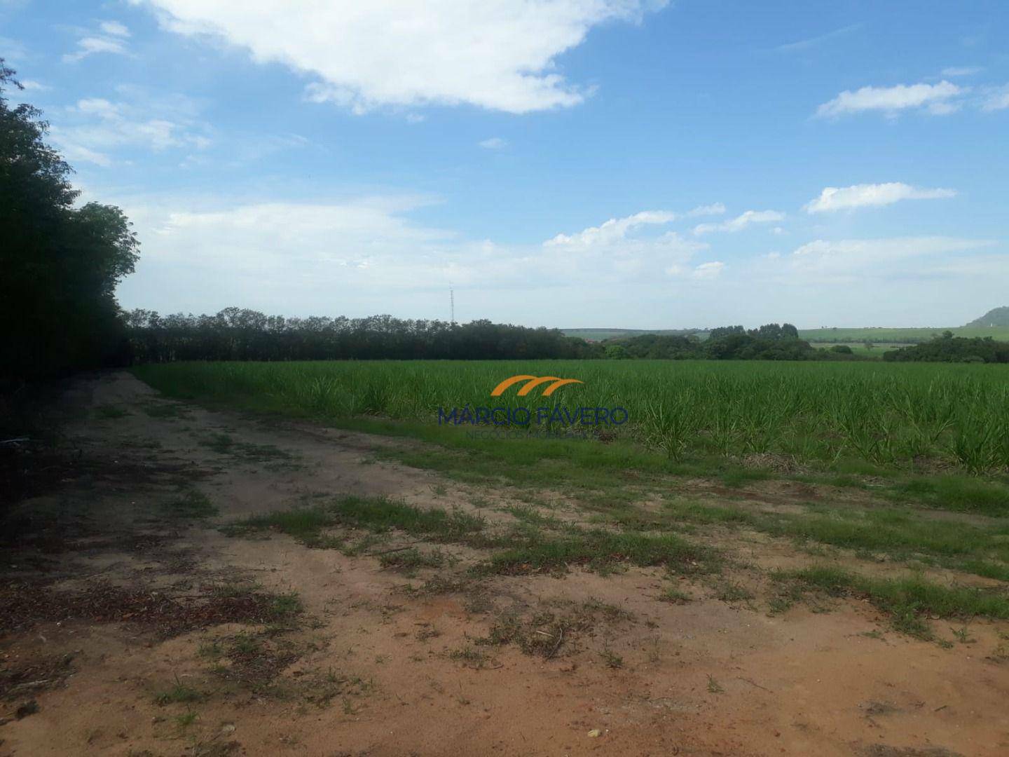 Fazenda à venda, 2918520M2 - Foto 11