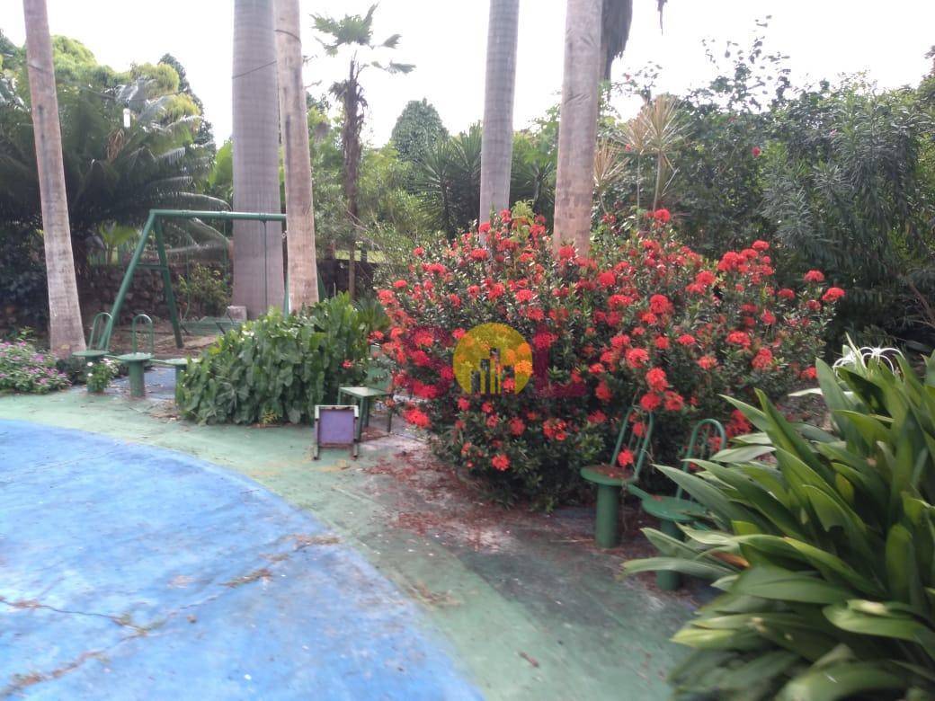 Sítio, 20 hectares - Foto 10