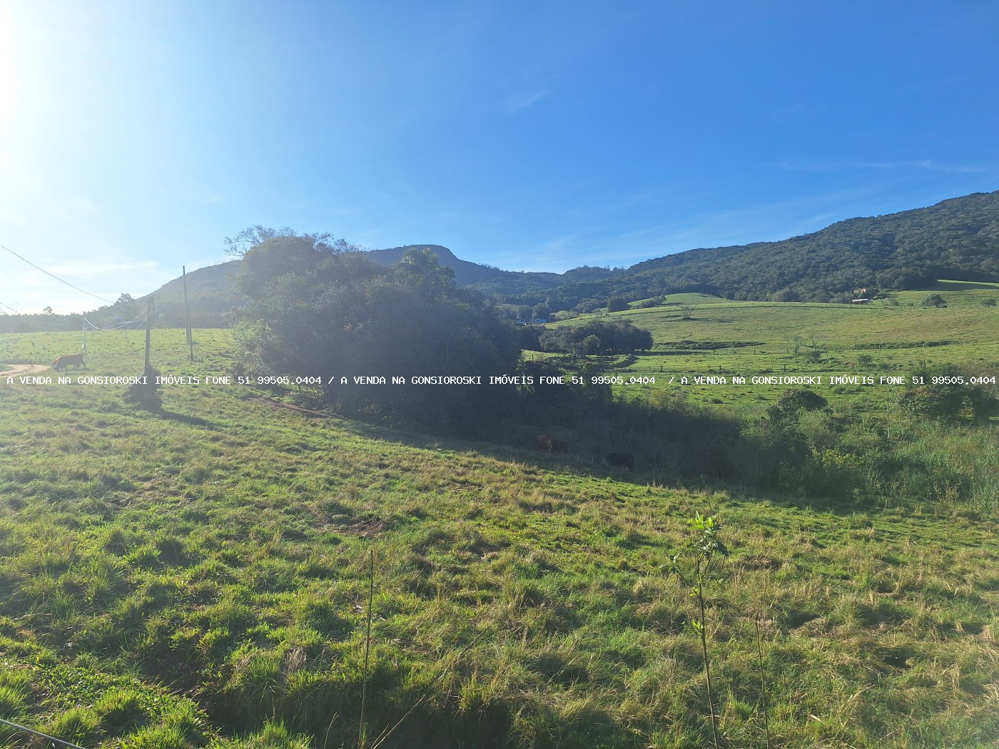 Loteamento e Condomínio à venda, 28000m² - Foto 8