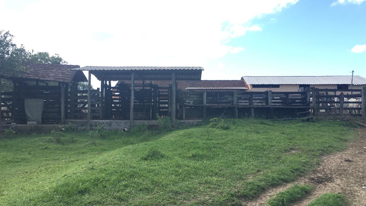 Fazenda à venda, 48400m² - Foto 9
