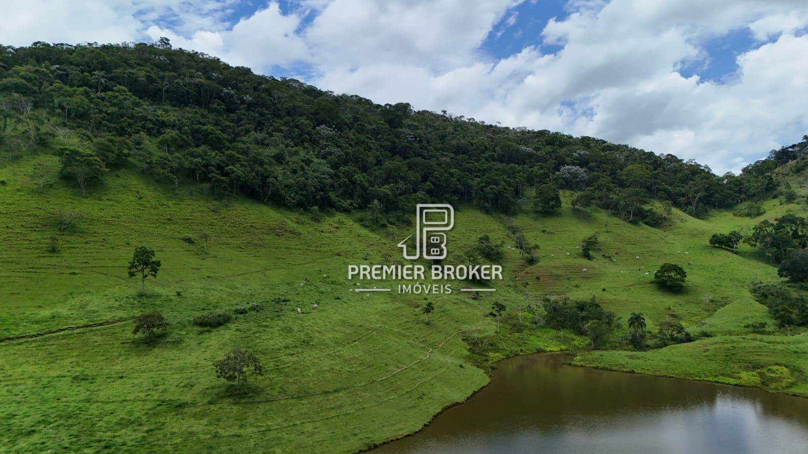 Fazenda à venda com 3 quartos, 250m² - Foto 26