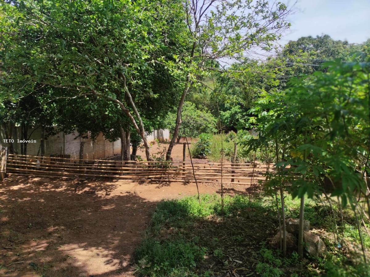 Fazenda à venda com 3 quartos, 1000m² - Foto 33