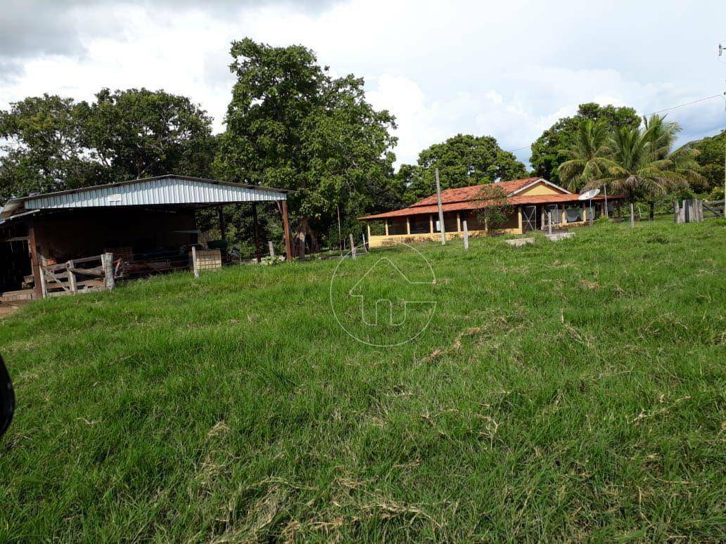 Fazenda-Sítio-Chácara, 740 hectares - Foto 2