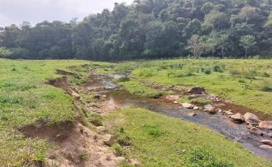 Fazenda à venda com 3 quartos, 290000m² - Foto 24