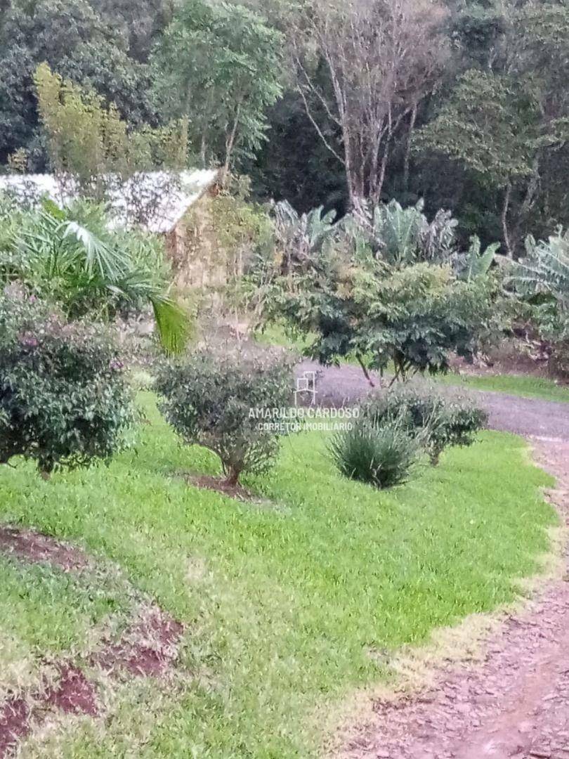 Chácara à venda com 3 quartos, 25000M2 - Foto 13