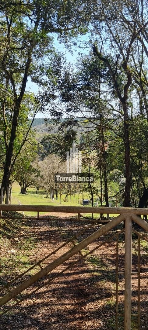 Fazenda-Sítio-Chácara, 23 hectares - Foto 4