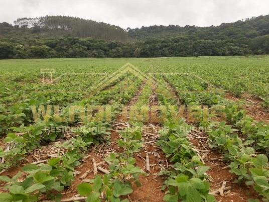 Fazenda à venda, 319m² - Foto 5