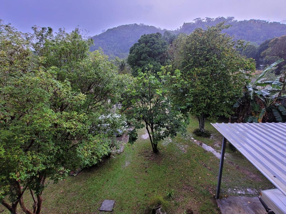 Chácara à venda com 3 quartos, 1500m² - Foto 16