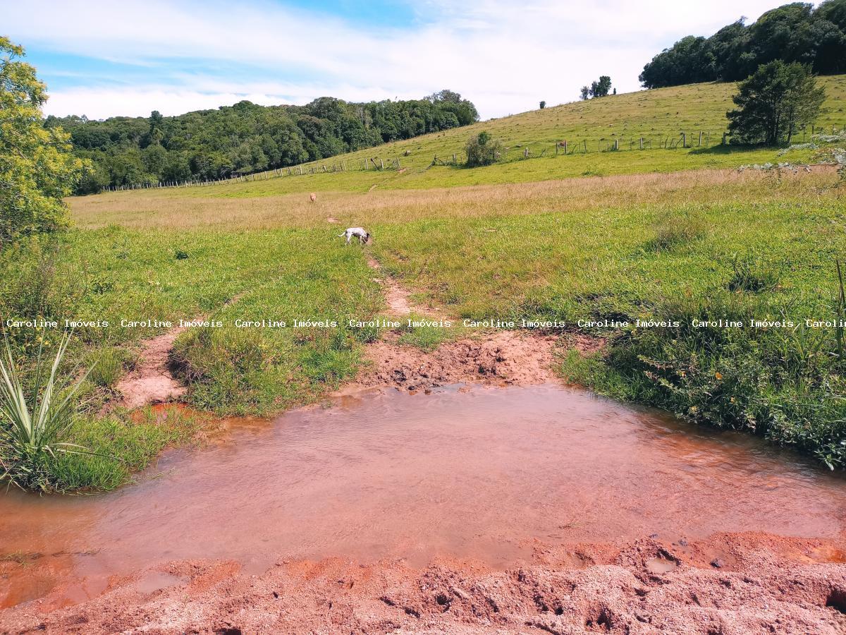 Fazenda à venda com 5 quartos, 625000m² - Foto 35