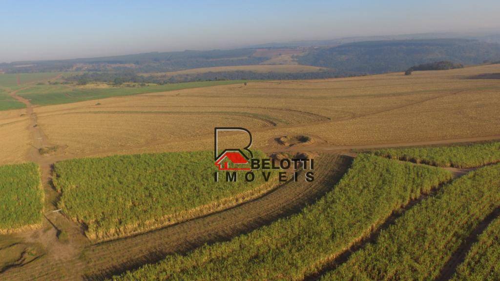 Fazenda-Sítio-Chácara, 203 hectares - Foto 1