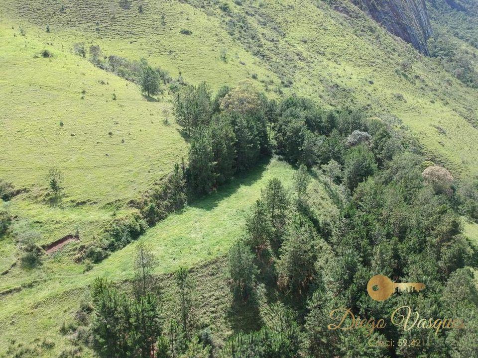 Fazenda à venda com 3 quartos, 280000m² - Foto 24