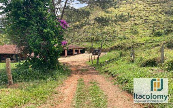 Fazenda à venda com 6 quartos, 680m² - Foto 1