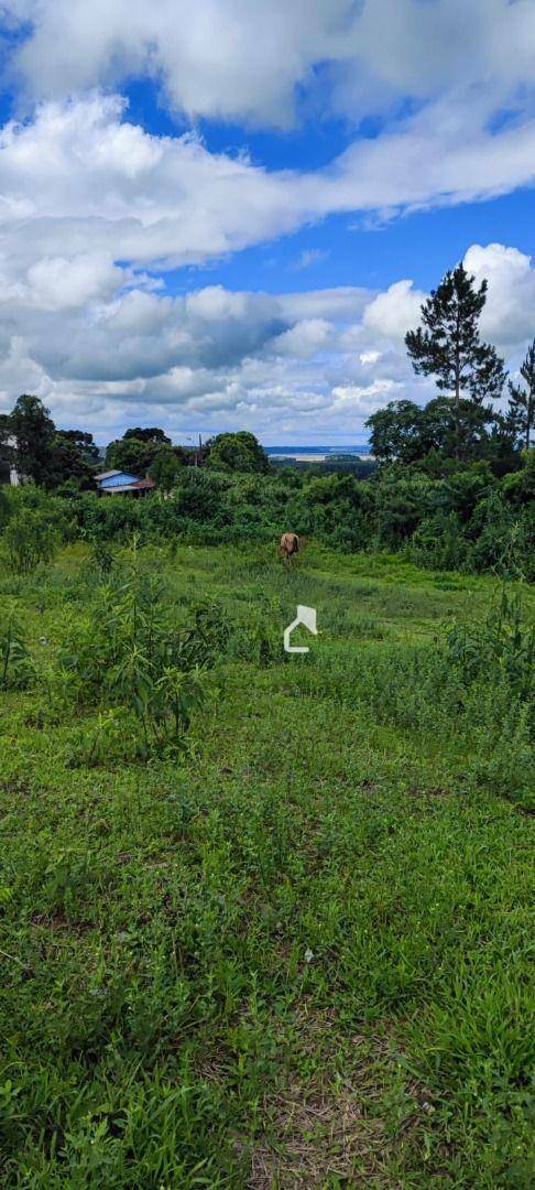 Terreno à venda, 365M2 - Foto 6