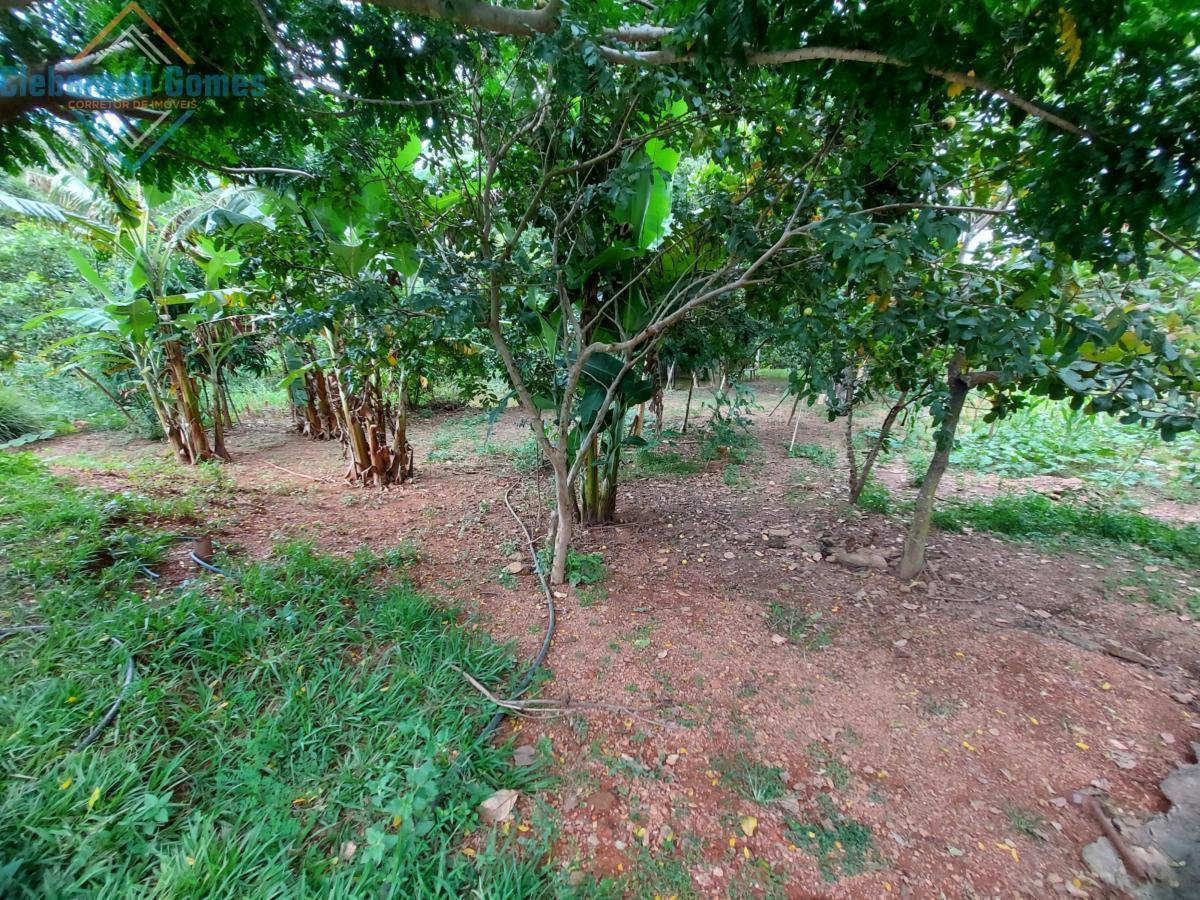 Fazenda à venda com 3 quartos, 1m² - Foto 8