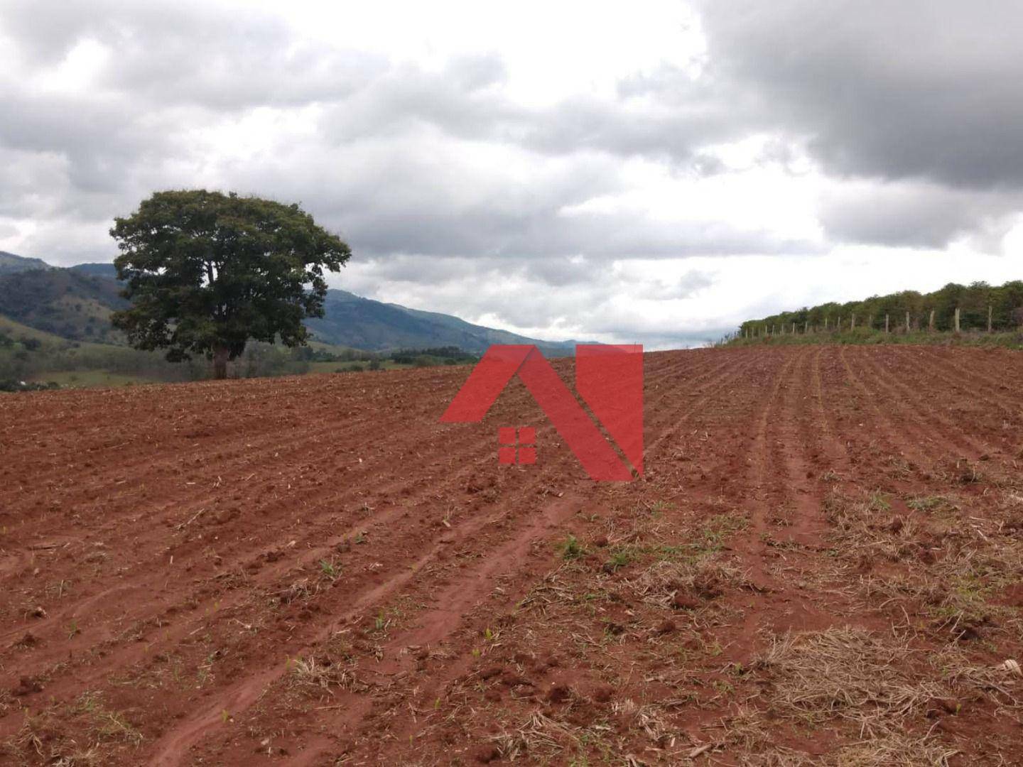 Fazenda à venda, 175000M2 - Foto 10