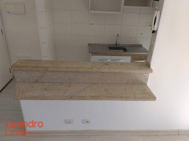 Apartamento à venda com 2 quartos, 46m² - Foto 3